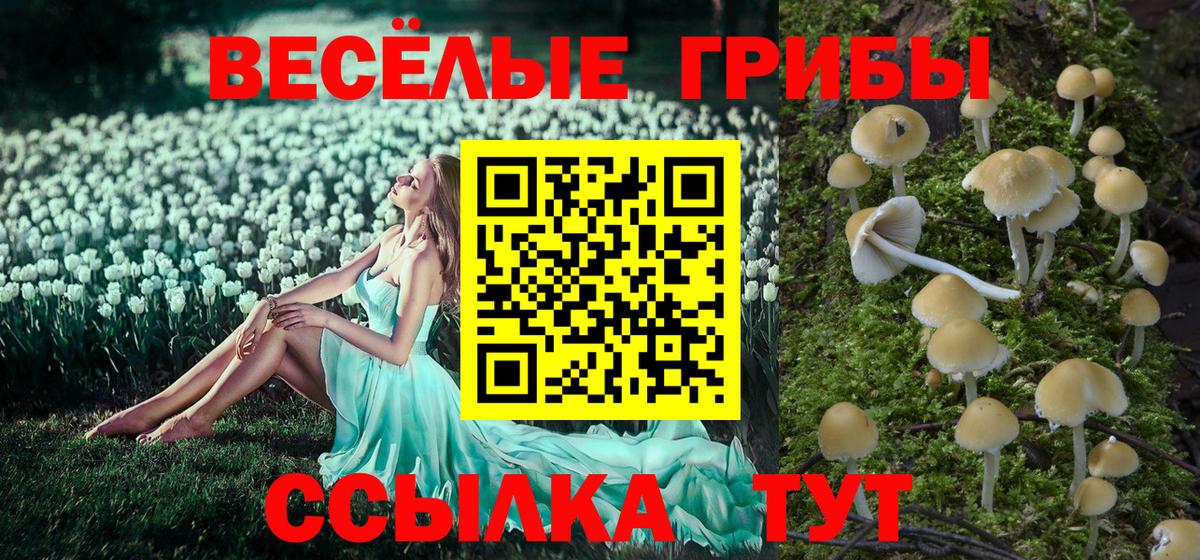 Галлюциногенные грибы Psilocybine cubensis Урюпинск
